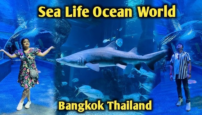 SEA LIFE + MADAME TUSSAUDS TICKETS SHARING PICK UP AND DROP BANGKOK HOTEL